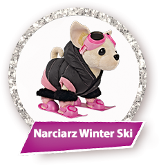 CCL Narciarz Winter Ski, 2 rodzaje