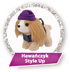 CCL Hawańczyk Style Up